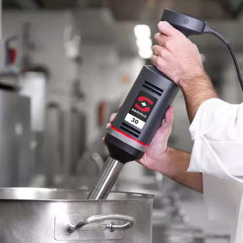 Commercial hand blender: Hand blender XM-33