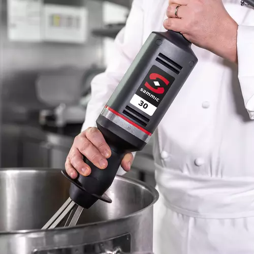 Commercial hand blender: Blender B-30