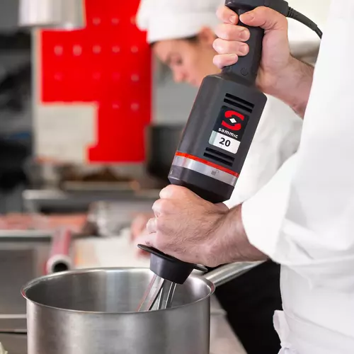 Commercial hand blender: Blender B-20