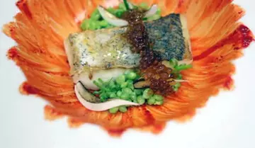 Speisefarben mit dem Sammic-Fruchtsaftzentrifuge