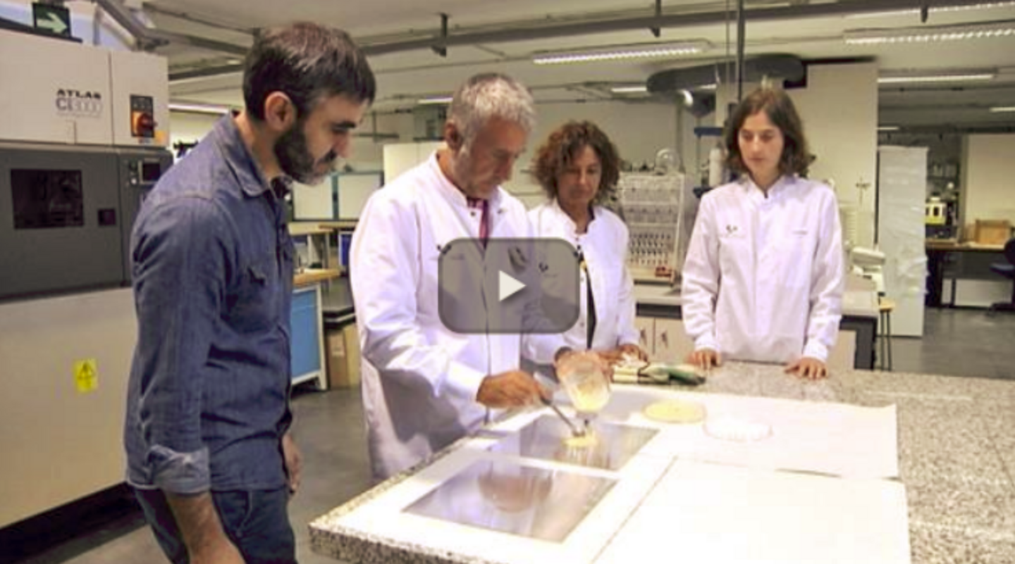 Squid plastic for vacuum sealing News Sammic