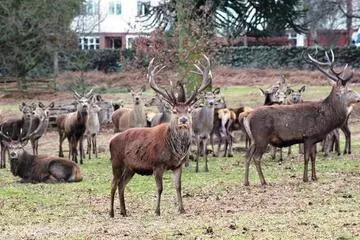 Sammic Vacuum Packing machines at Bradgate Park: case study