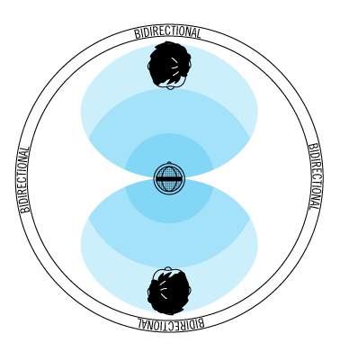 Bidirectional (small)