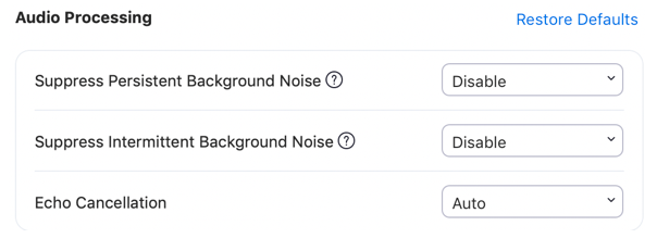 Zoom_audio_processing