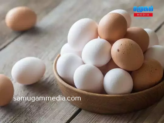 நாடளாவிய ரீதியில் முட்டை விநியோகம் இடைநிறுத்தம்!