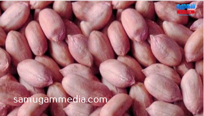 தொடர்ந்து வேர்க்கடலை சாப்பிடுவதால் இவ்வளவு நன்மைகளா?