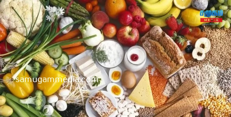 இலங்கையர்கள் உட்கொள்ளும் உணவின் தரம் குறித்து ஆய்வு!