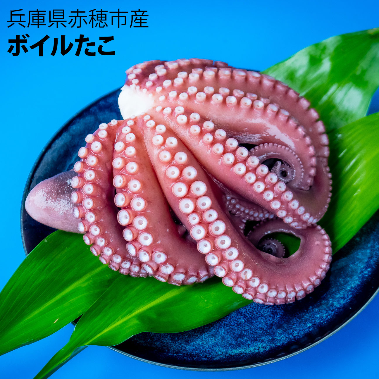 船曳商店