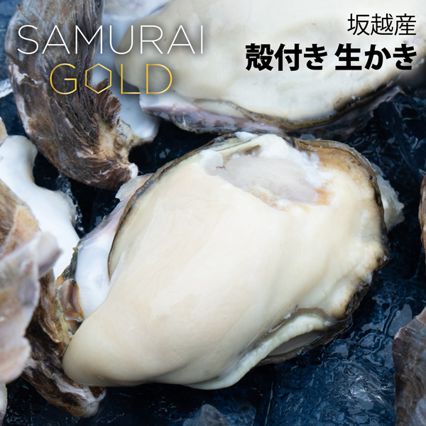 船曳商店
