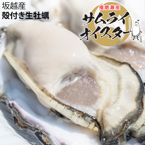 船曳商店