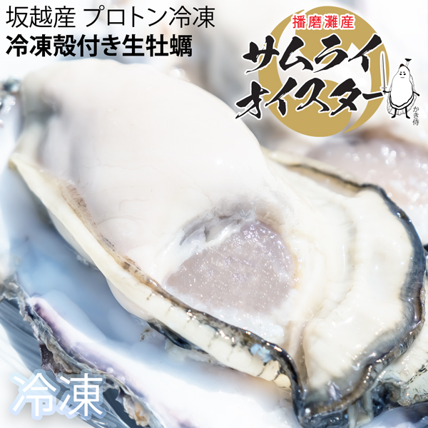 船曳商店