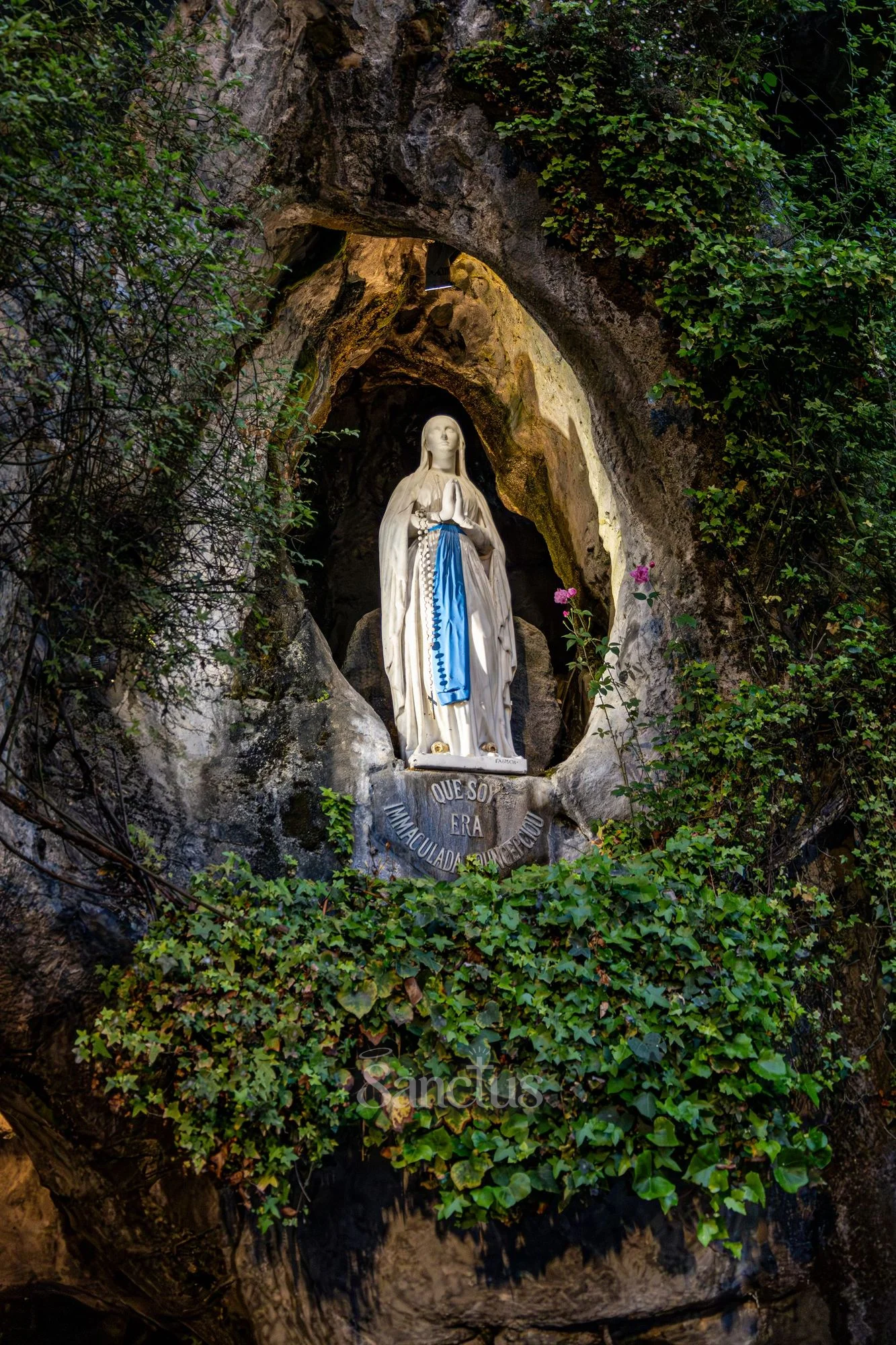 Portrait de Notre-Dame de Lourdes