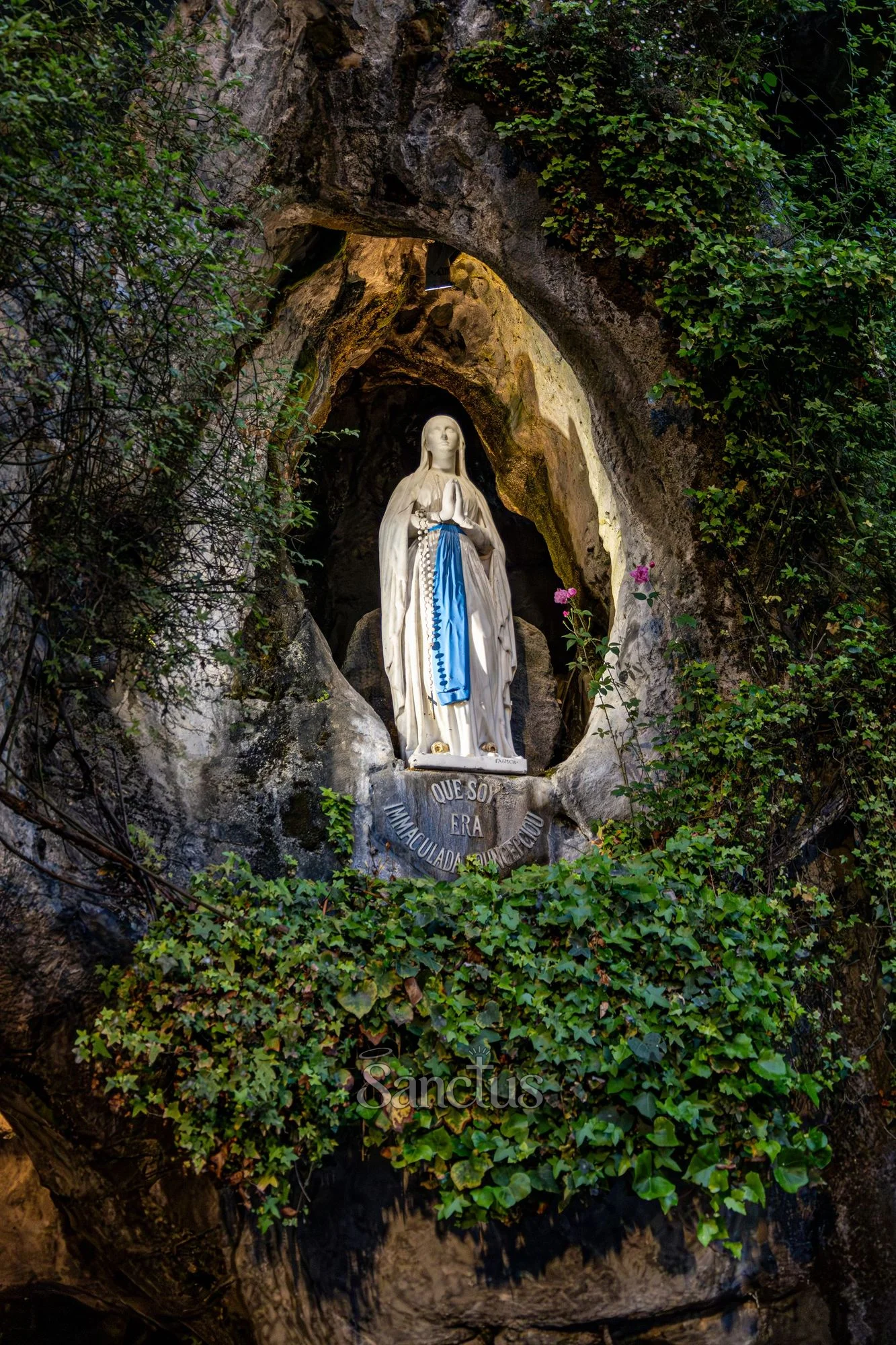Portrait de Notre-Dame de Lourdes