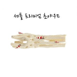 세틀 프리미엄 초야우드中 (8~9cm)