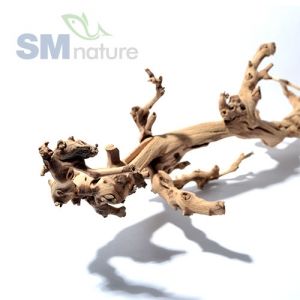SM 포도나무 유목 [대형]