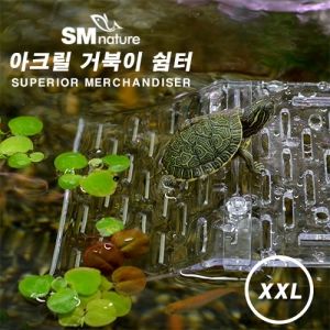 [특가] SM 아크릴 거북이 쉼터 [XXL]