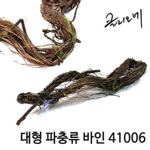 클리오네 대형 파충류 바인 [41006]