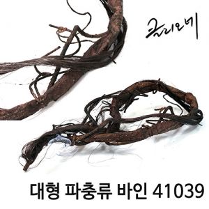 클리오네 대형 파충류 바인 [41039]