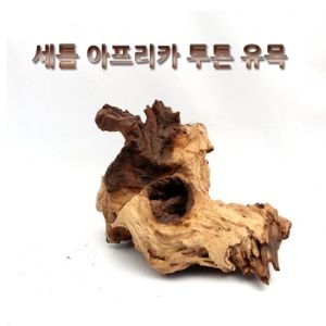 투톤유목 [30~40cm 랜덤] 1개