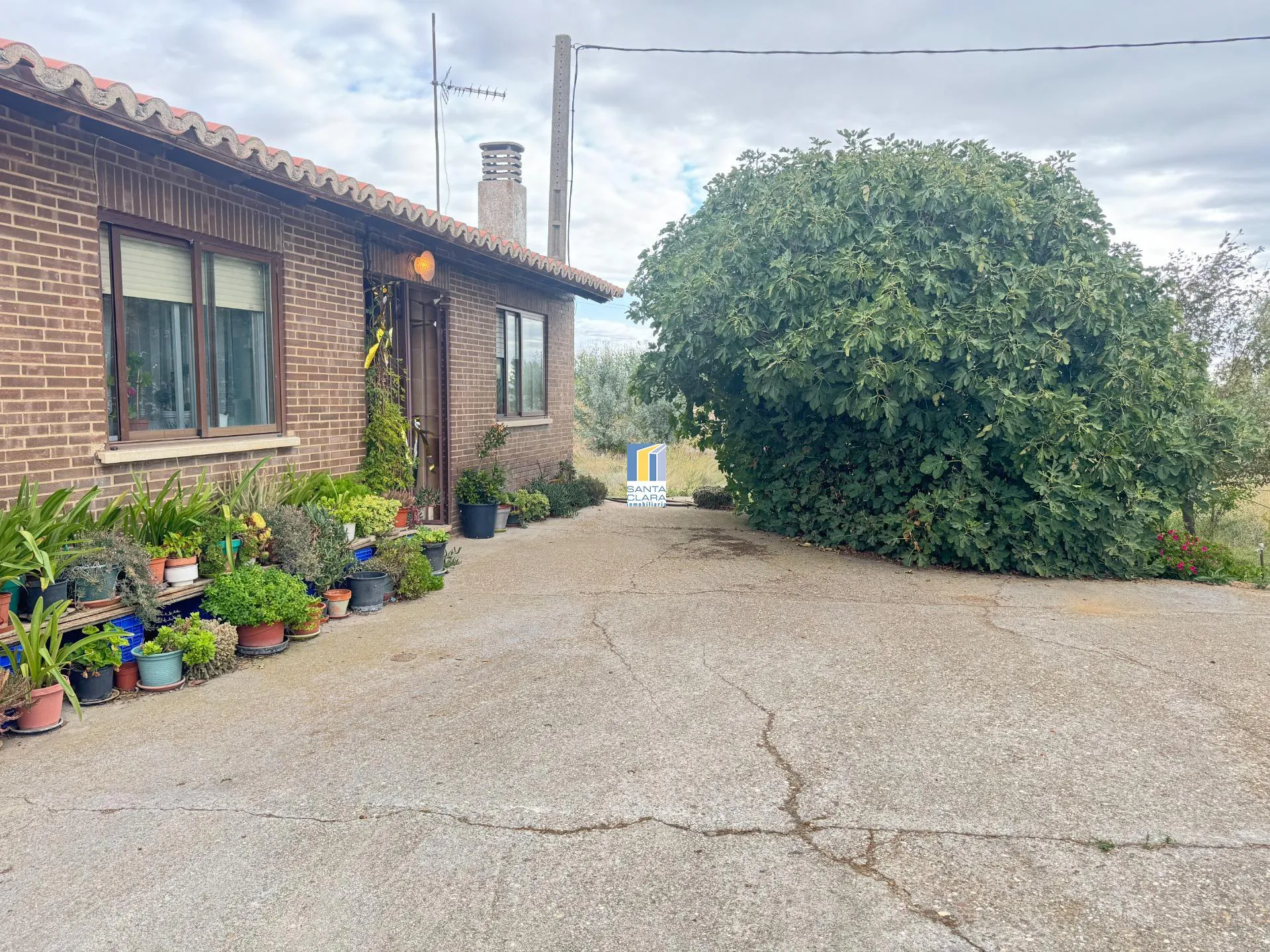 FINCA DE REGADÍO EN VENTA CON CASA EN ZONA CARRETERA DE CORESES, A 5 MINUTOS DE ZAMORA. - Inmobiliaria Santa Clara en Zamora - Miniatura 2
