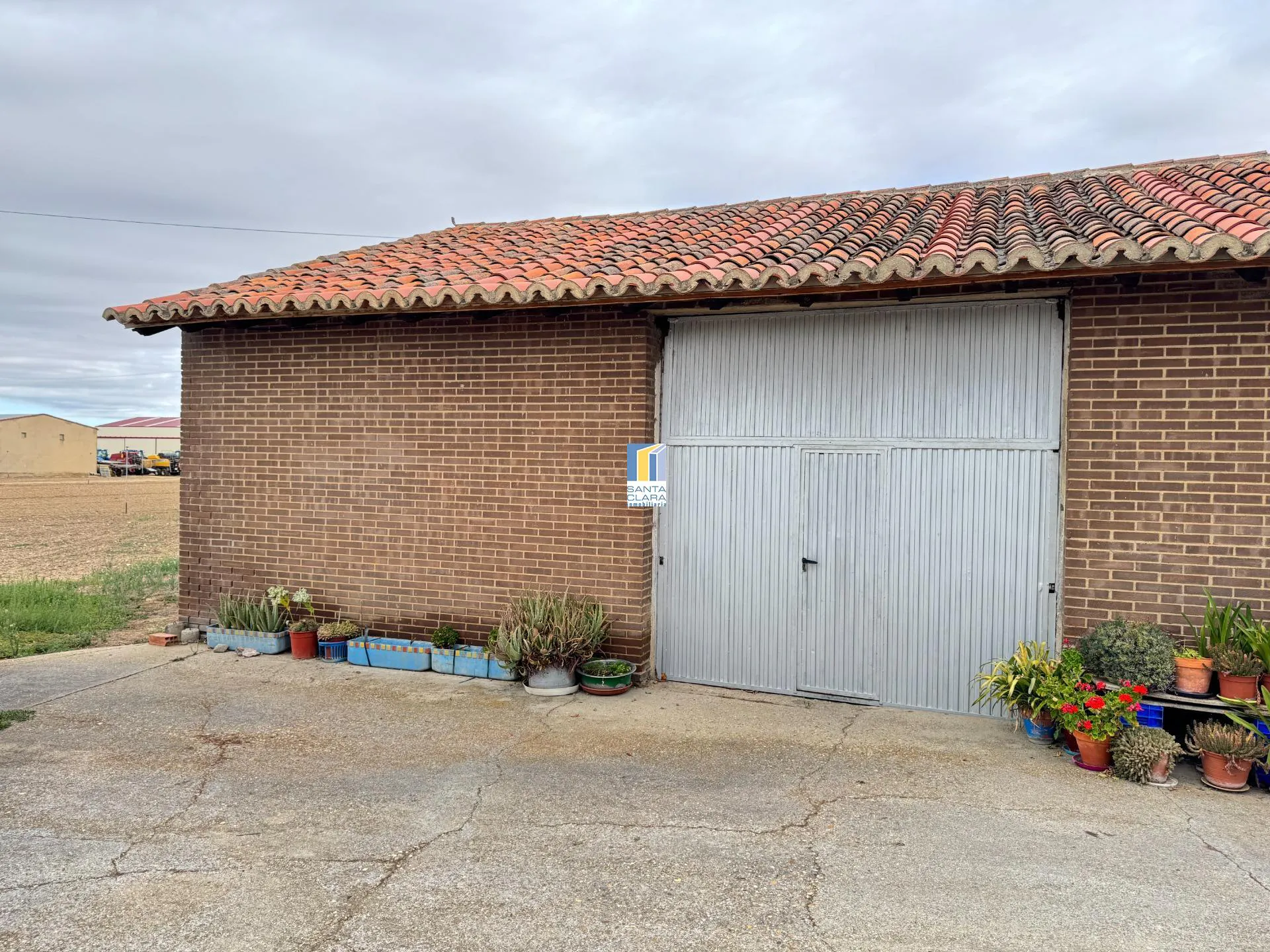 FINCA DE REGADÍO EN VENTA CON CASA EN ZONA CARRETERA DE CORESES, A 5 MINUTOS DE ZAMORA. - Inmobiliaria Santa Clara en Zamora - Miniatura 3
