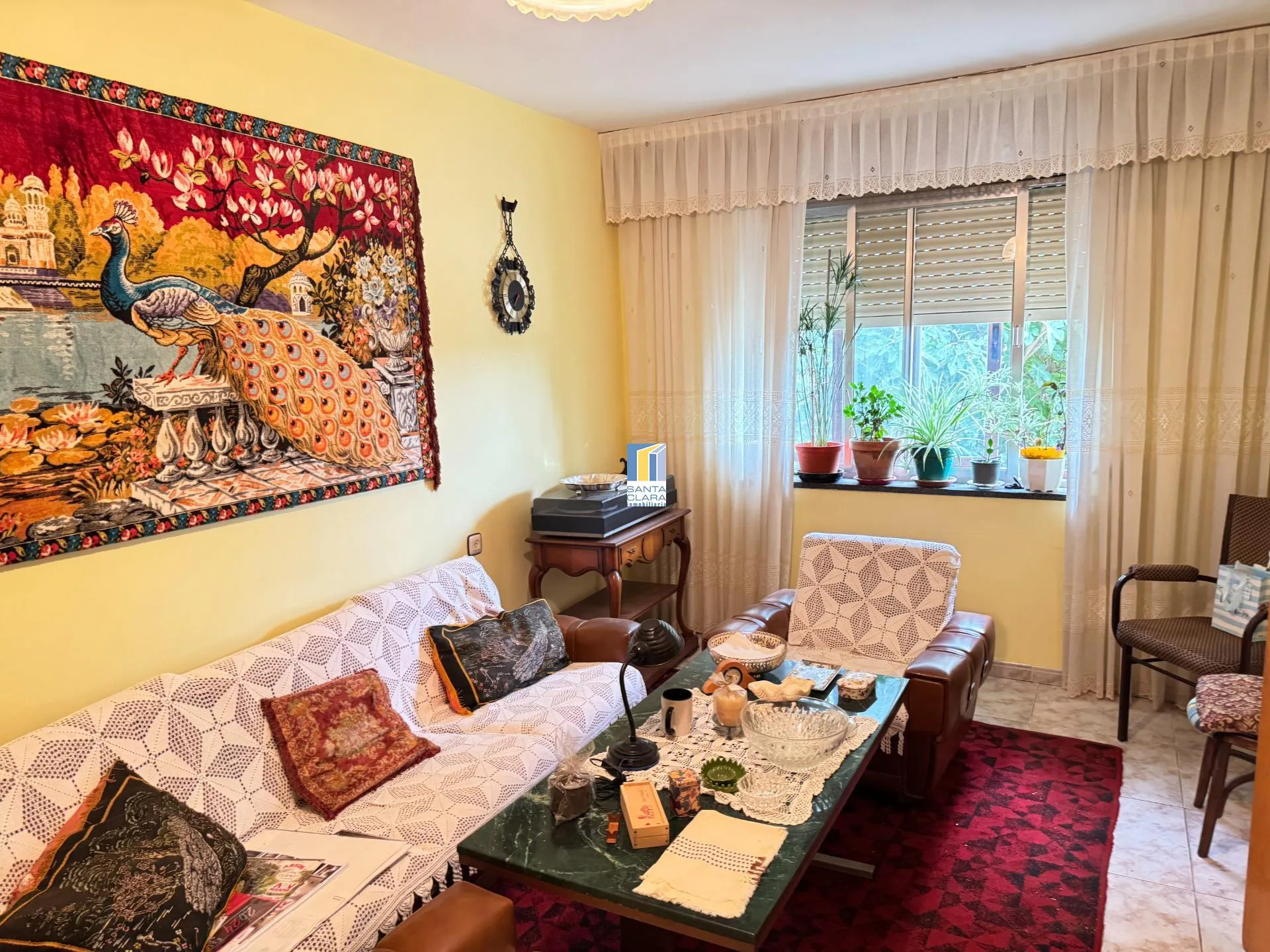 FINCA DE REGADÍO EN VENTA CON CASA EN ZONA CARRETERA DE CORESES, A 5 MINUTOS DE ZAMORA. - Inmobiliaria Santa Clara en Zamora - Miniatura 4