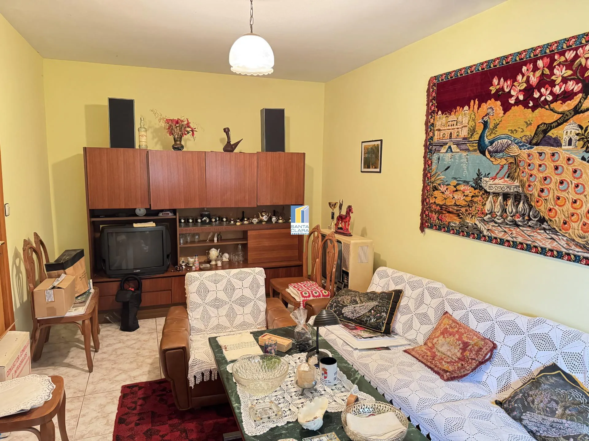 FINCA DE REGADÍO EN VENTA CON CASA EN ZONA CARRETERA DE CORESES, A 5 MINUTOS DE ZAMORA. - Inmobiliaria Santa Clara en Zamora - Miniatura 5