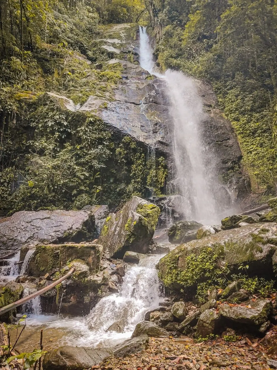 PANACOMA - Comayagua Mountain National Park