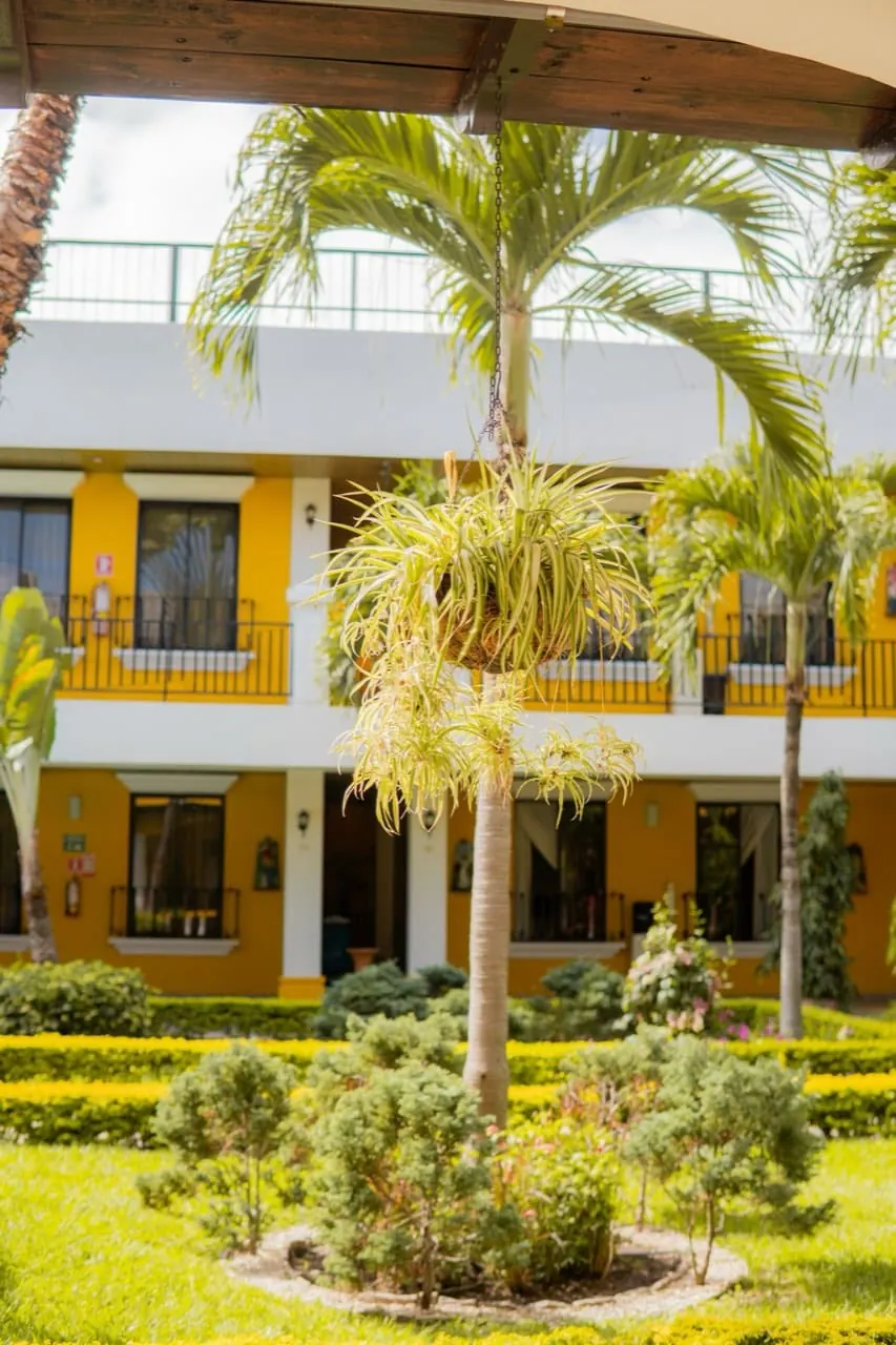 Single Room With Balcony 12