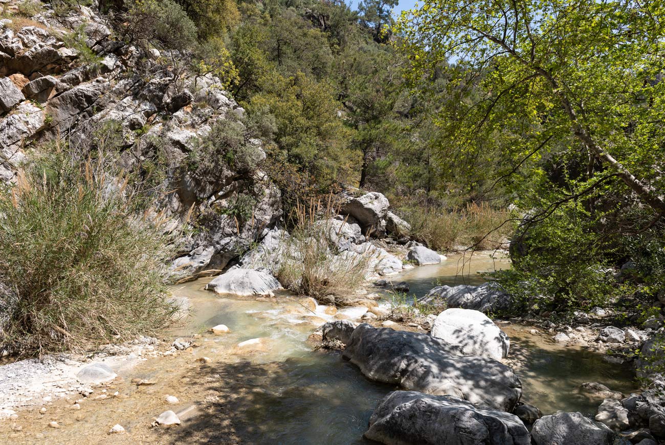 Δραστηριότητες βουνού