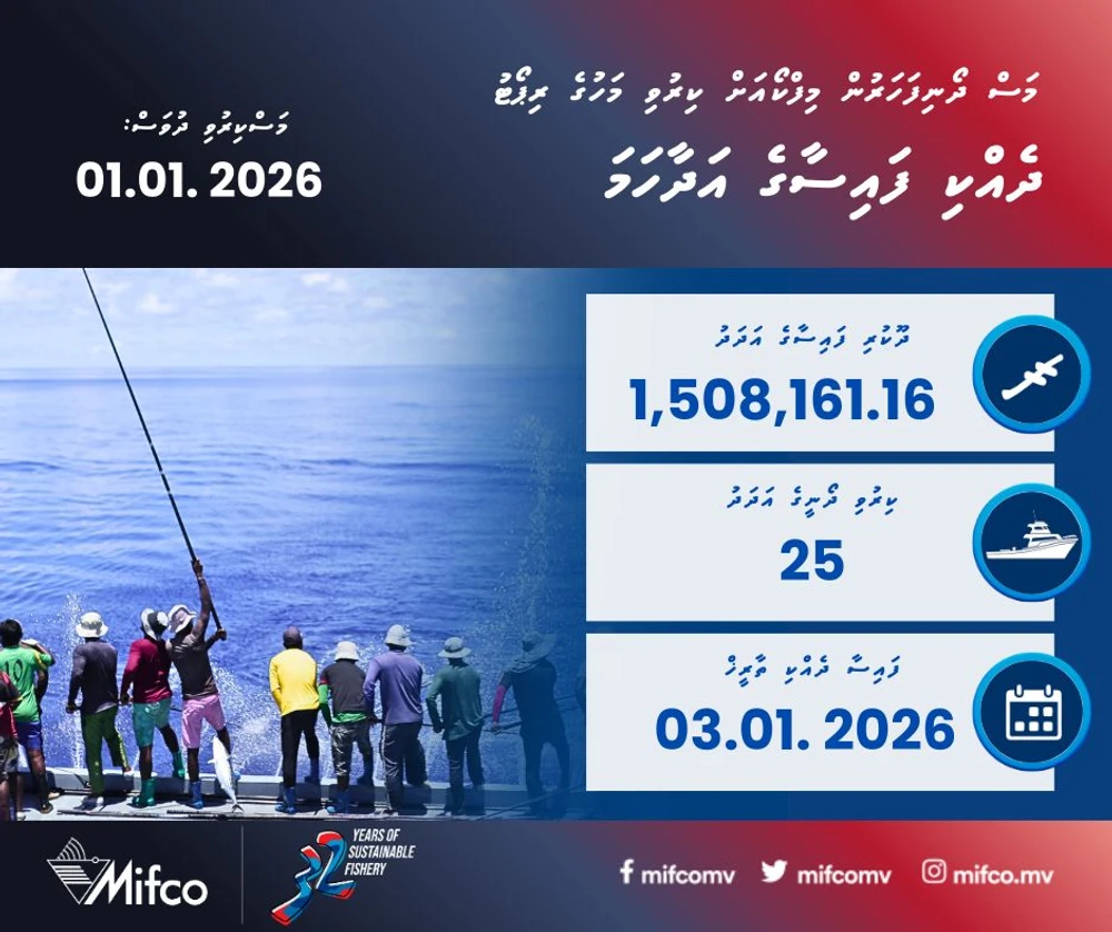 photo for މަސްދޯނި ފަހަރުން މިފްކޯއަށް ކިރުވި މަހުގެ ރިޕޯޓް