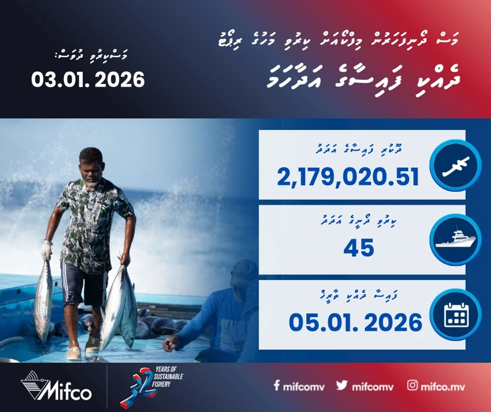 photo for މަސްދޯނި ފަހަރުން މިފްކޯއަށް ކިރުވި މަހުގެ ރިޕޯޓް