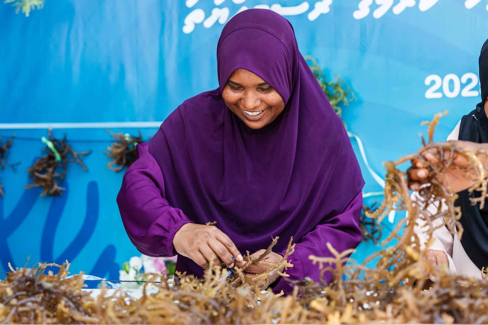 photo for ބ. ފެހެންދޫގައި މިއަދު އިފްތިތާހް ކުރެވުނު މޫދު ވިނަ އާލާކުރުމުގެ ޕްރޮޖެކްޓެއް ފެށުމުގެ ރަސްމިއްޔާތު