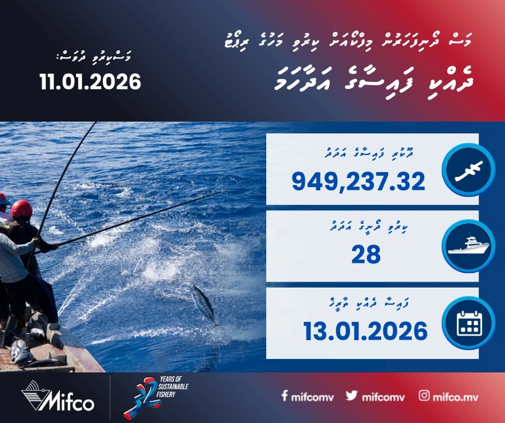 photo for މަސްދޯނި ފަހަރުން މިފްކޯއަށް ކިރުވި މަހުގެ ރިޕޯޓް