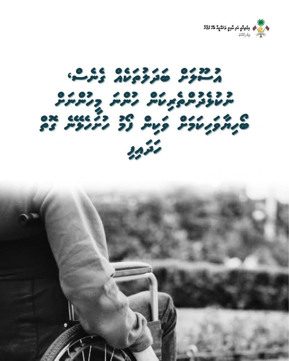 photo for ނުކުޅެދުންތެރިކަން ހުންނަ ފަރާތްތަކަށް ވަކިން ފުލެޓަށް އެދި ހުށަހެޅުމަށް ހުޅުވާލައިފި