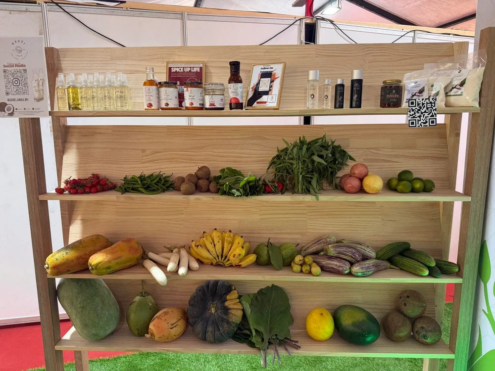 photo for އެމްގެޕް ސްޓޭންޑަރޑަށް ދަނޑުވެރިން އަހުލުވެރި ކުރުމަށް ވޯކްޝޮޕެއް ބާއްވަނީ