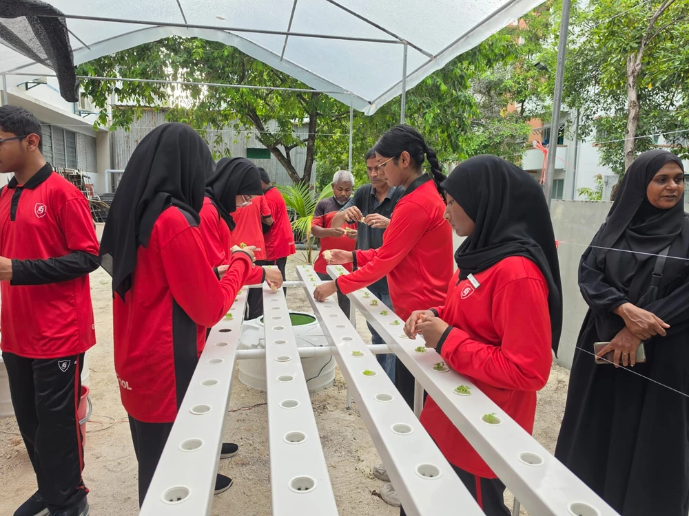 photo for ޣާޒީ ސްކޫލުގެ ދަރިވަރުންނާއި މުވައްޒަފުންނަށް، ކުރިޔަށްގެންދާ ހައިޑްރޯޕޮނިކްސް ތަމްރީނު ޕްރޮގްރާމް