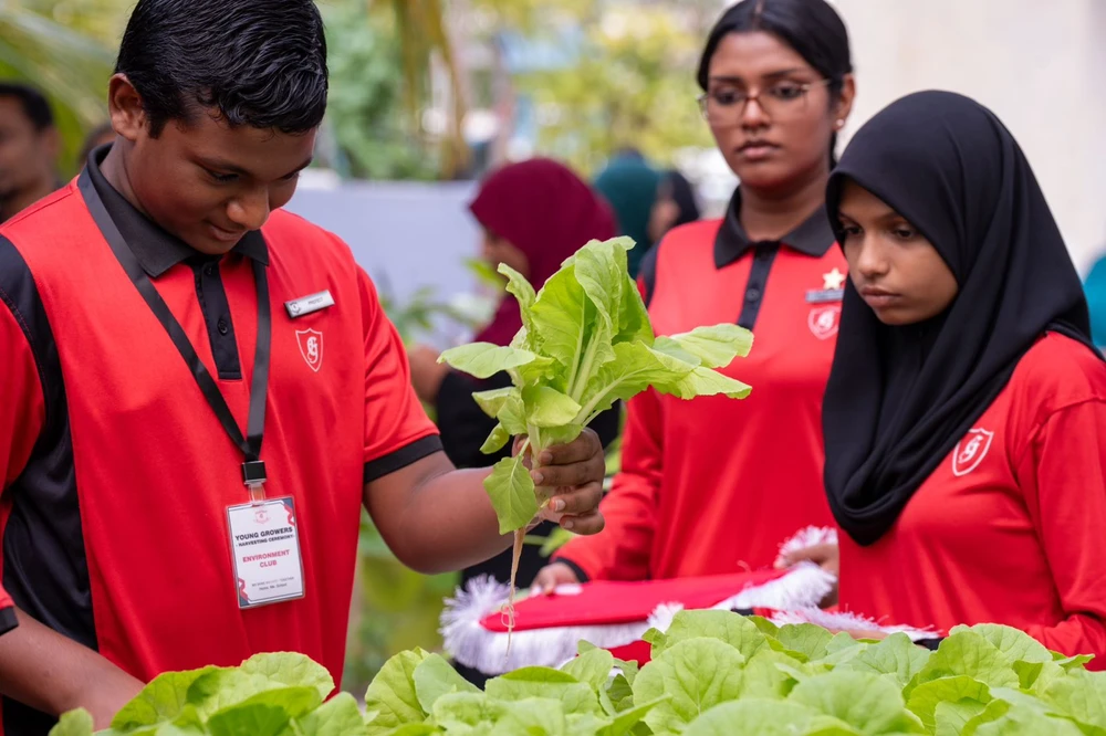 photo for ޣާޒީ ސްކޫލުގެ ދަރިވަރުންނަށް ހިންގި ހައިޑްރޯޕޮނިކްސް ތަމްރީން ވަރަށް ކާމިޔާބު