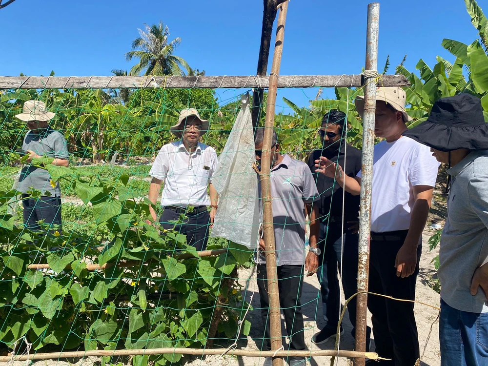 photo for ކ. ކާށިދޫގައި ޕީޕީޕީ  މޮޑެލްގެ ދަށުން ވިޔަފާރި އުސޫލުން ދަނޑުވެރިކަން ކުރުމުގެ ފުރުސަތު 