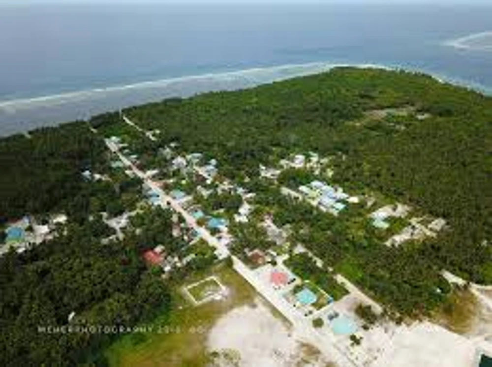 photo for ގއ. ކޮނޑޭގައި ކާށިދޫގައި ޕީޕީޕީ މޮޑެލްގެ ދަށުން ވިޔަފާރި އުސޫލުން ދަނޑުވެރިކަން ކުރުމުގެ ފުރުސަތު