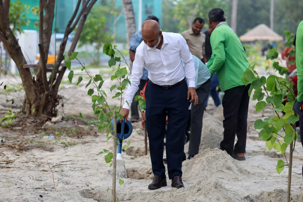 photo for މިނިސްޓްރީގެ 93 އަހަރީ ދުވަސް ފާހަގަކުރުމަށްޓަކައި ގަސްއިންދުމުގެ ޙަރަކާތެއް ކުރިއަށްގެންގޮސްފި!