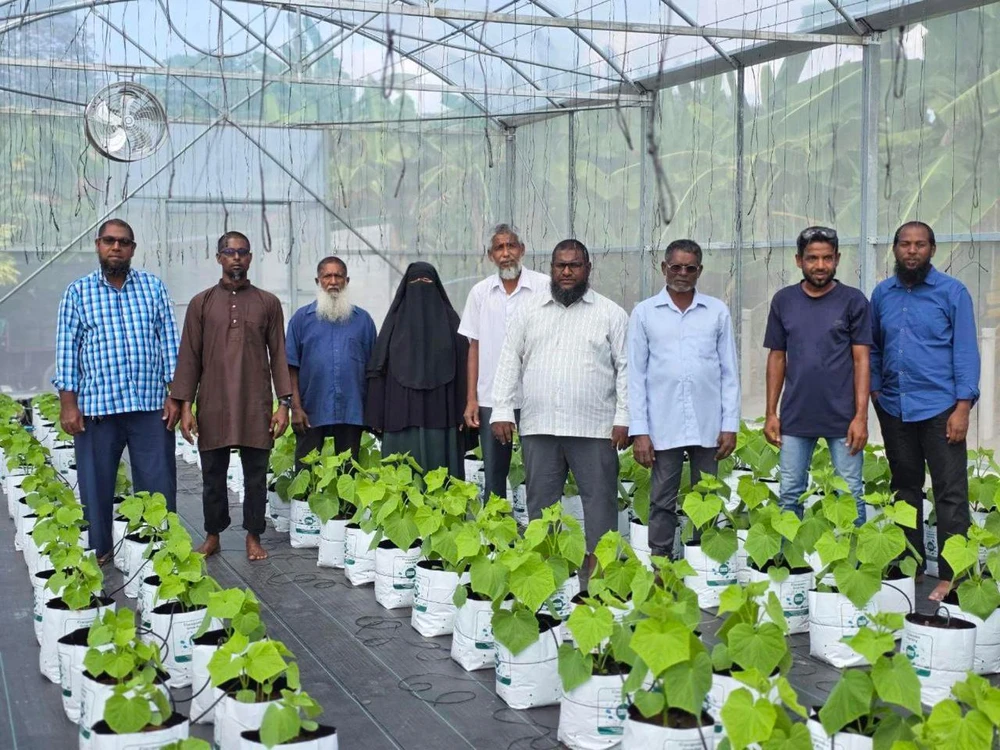 photo for "ދަނޑުވެރި މަންފާ" މެޗިންގ ގްރާންޓުގެ އެހީގައި ވައިކަރަދޫގައި ގްރީން ހައުސް އަޅައިފި