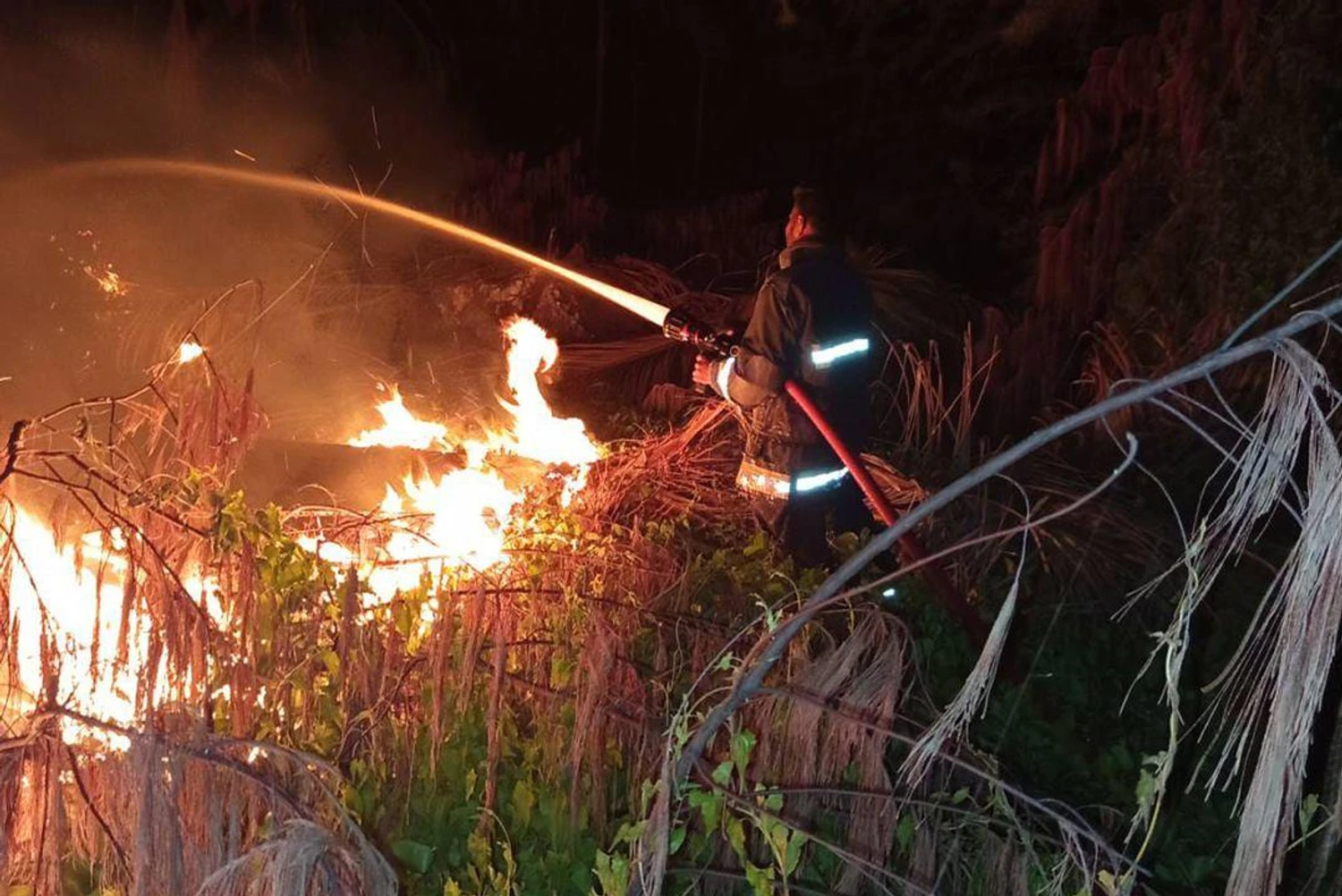 photo for މީދޫ ސަންސެޓް ރެސްޓޯރެންޓް ކައިރީ ވަލުތެރޭގައި ހުރި ކުނިތަކެއްގައި ރޯވި އަލިފާން، ނިއްވާލައިފި