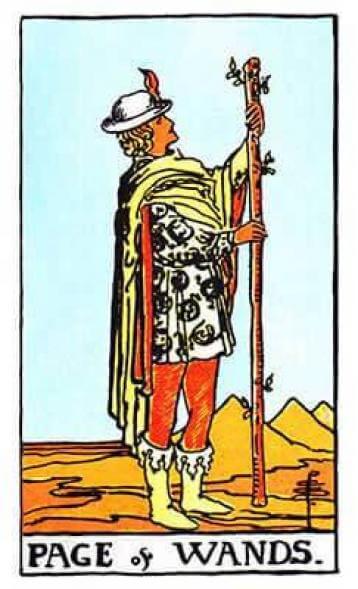 Tarot - Tarô - Valete ou Príncipe de Paus