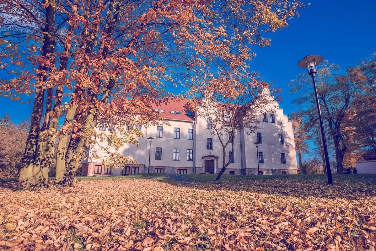 Hotel Niemcza Wino & SPA - zdjęcie pomocnicze 3