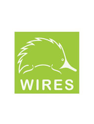 Wires Logo