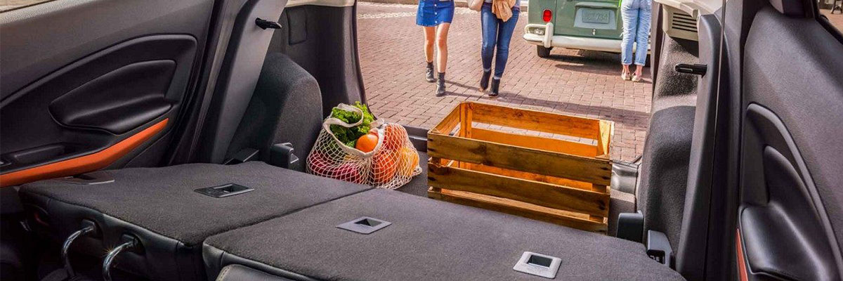 2018 Ford EcoSport Cargo