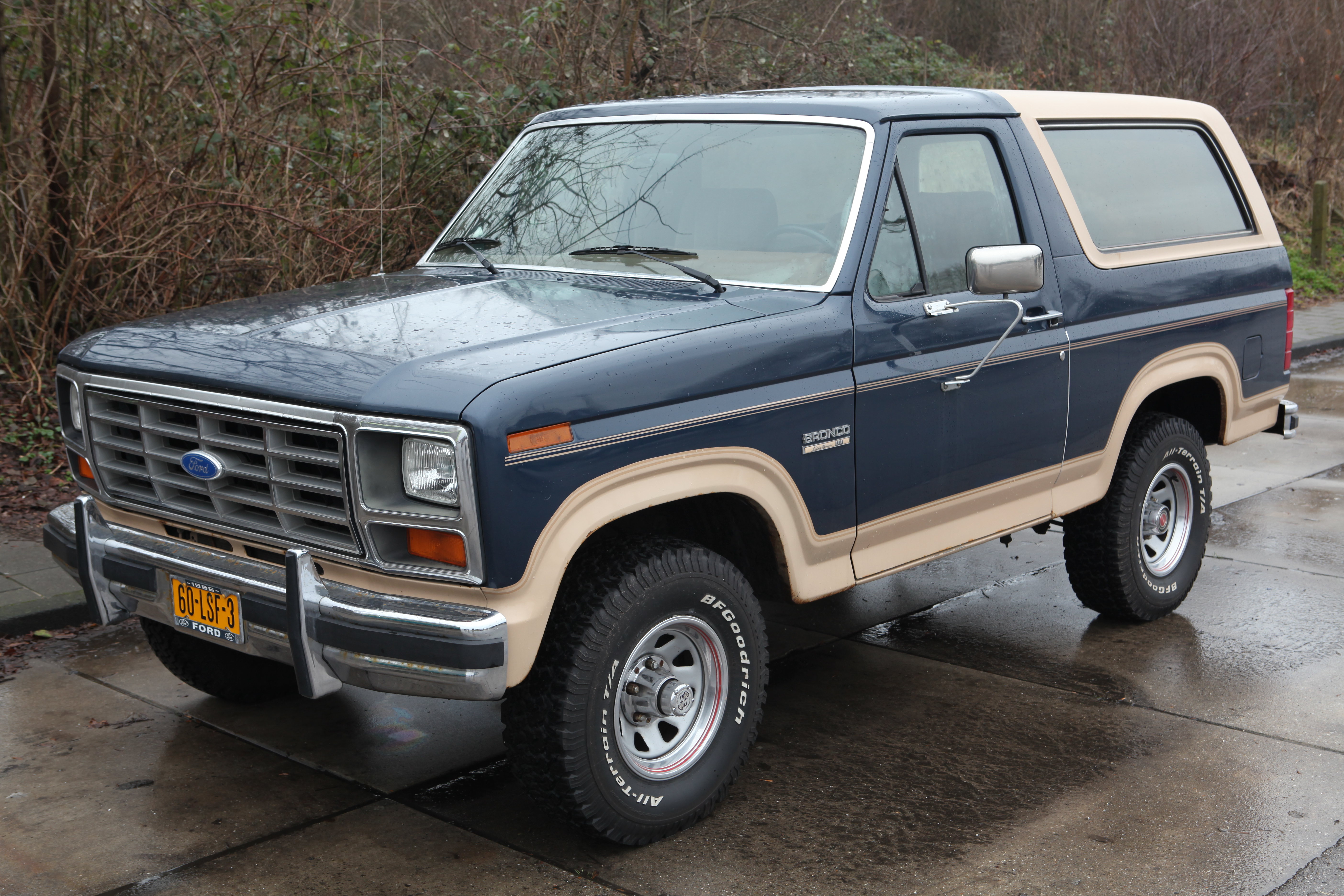 Used Ford Bronco Third Generation Buying Guide