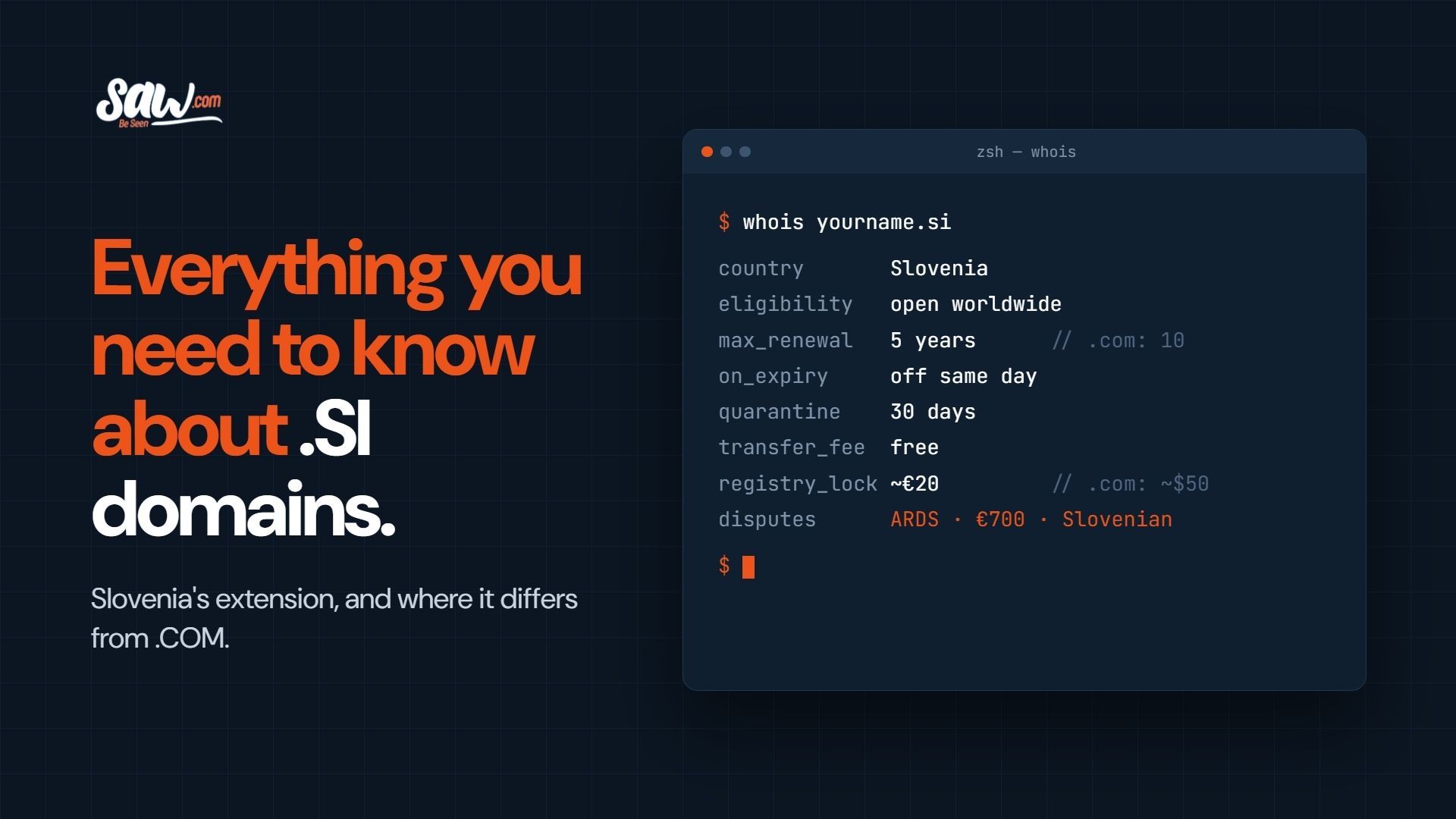 Everything You Need to Know About .SI Domains