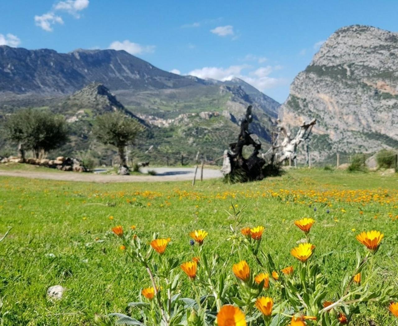 Setteventi del Pollino